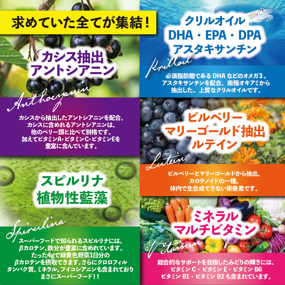 みどり